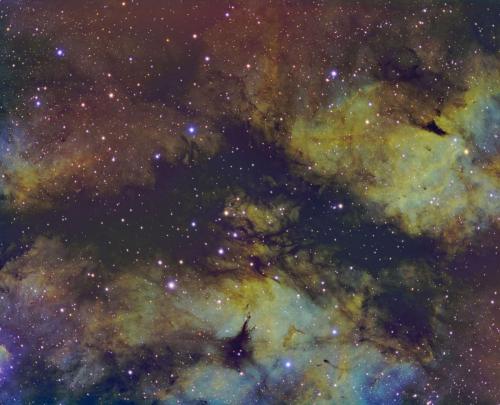 ic1318_2