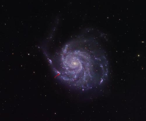 m101