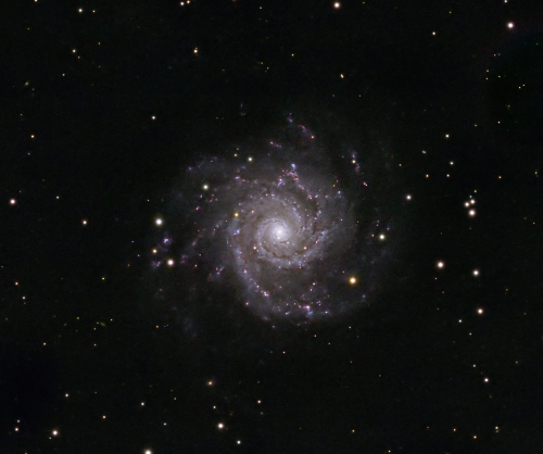 m74