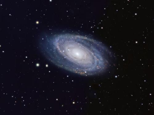 m81