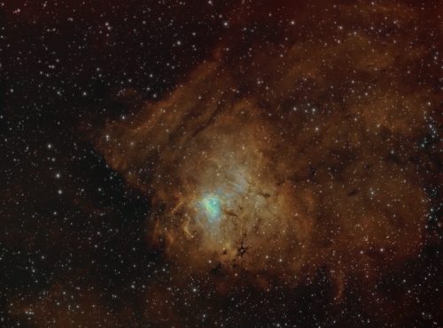 ngc1491
