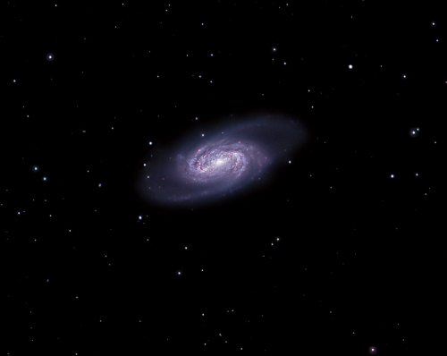 ngc2903