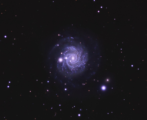 ngc3344
