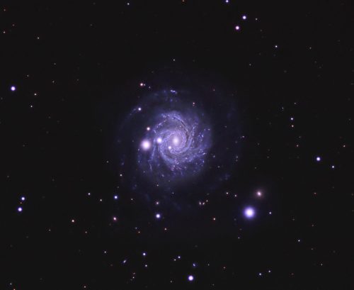 ngc3344