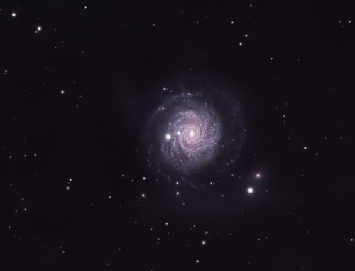 ngc3344