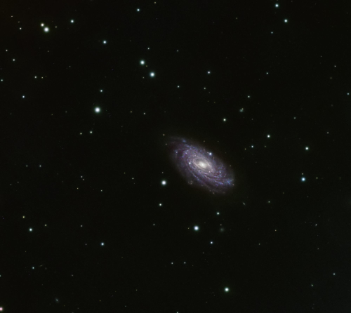 ngc3953