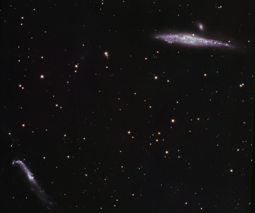 ngc4631