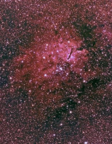 NGC 6823